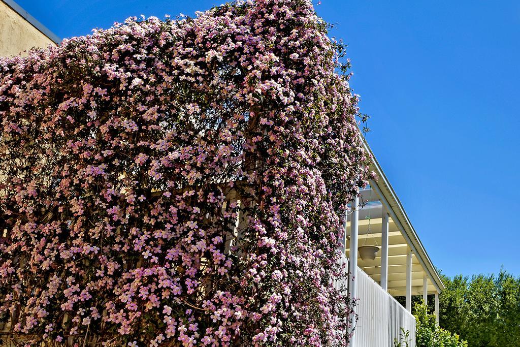 Bundanoon Lodge Экстерьер фото